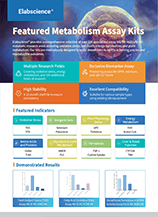 Featured Metabolism Assay Kits Flyer(2025)